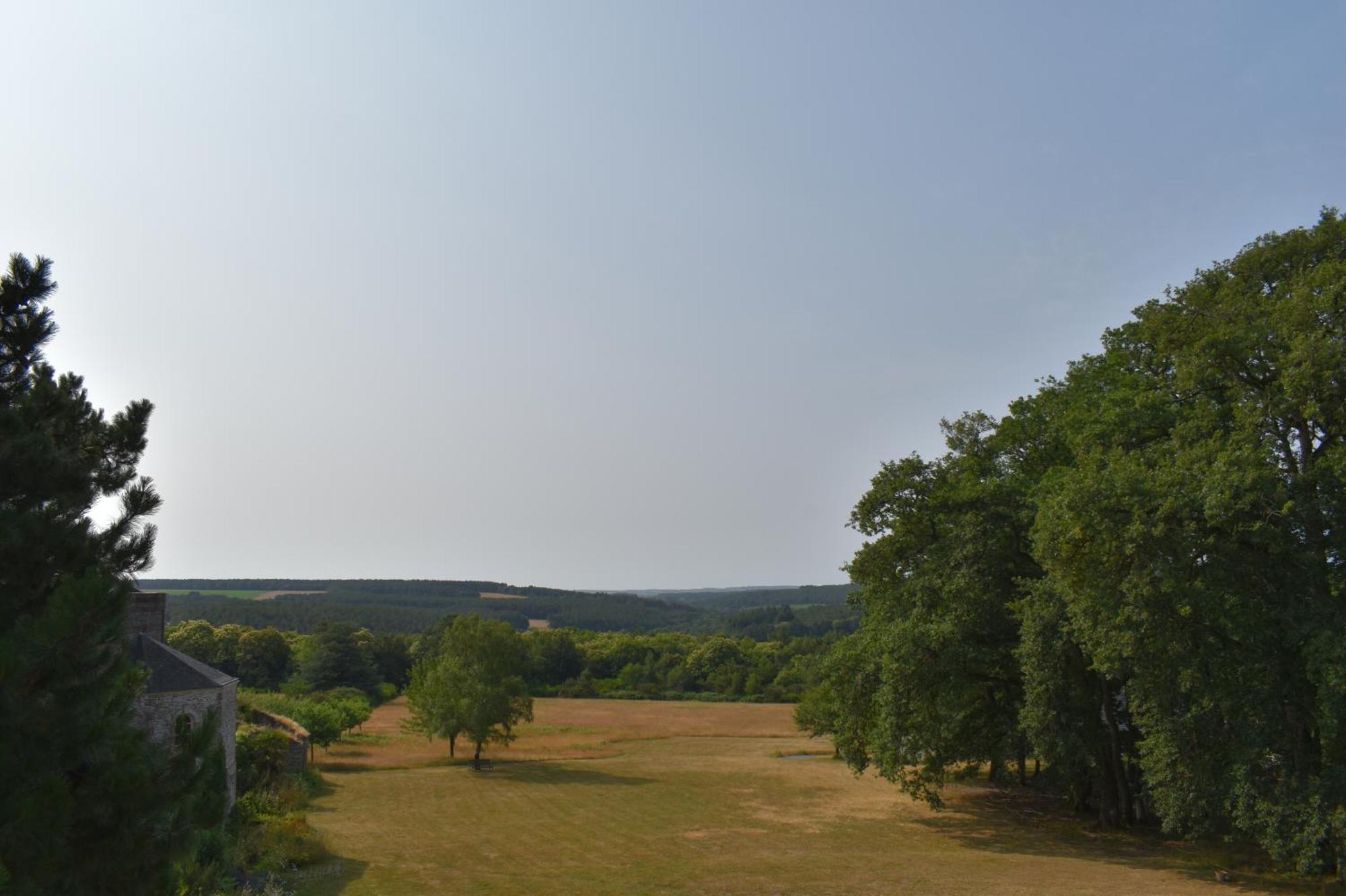 Chateau De Bezyl Sixt-sur-Aff Eksteriør bilde